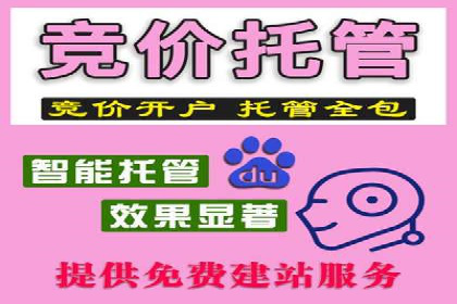 竞价开户推广策略案例分析